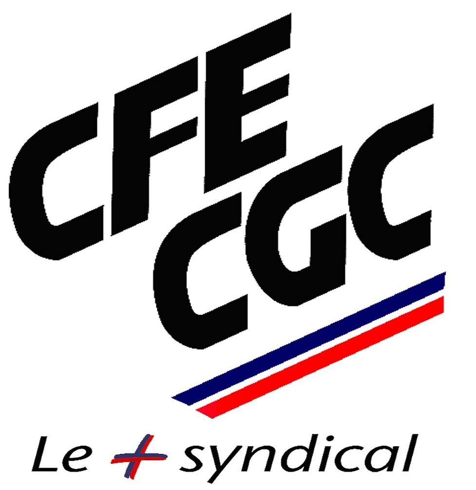 LogoCFECGC 2